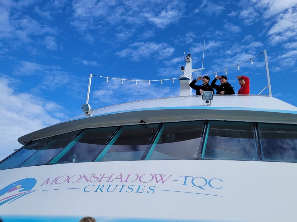 돌핀 와칭 크루즈 탑승 (추가 옵션사항) 또는 넬슨베이 자유시간